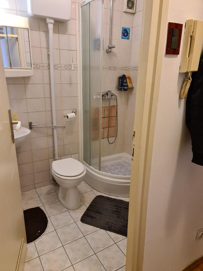 Apartman U Velikoj Gorici Zeljko Велика Гориця Екстер'єр фото